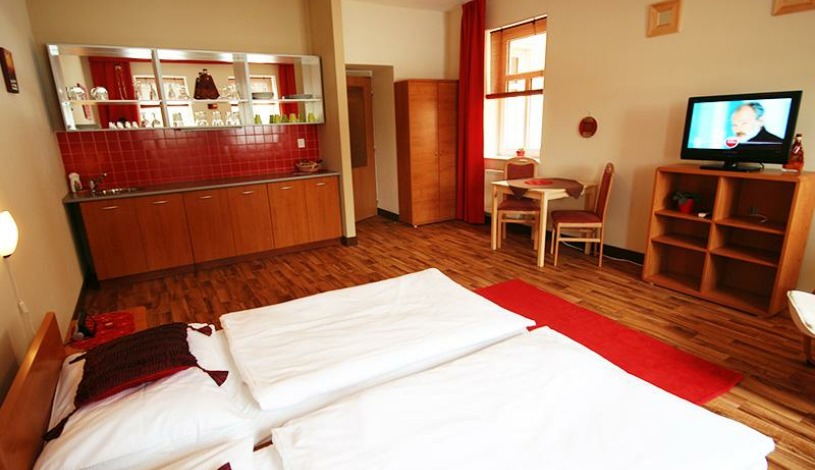 Hotel Swisshouse Apartments & Spa Mariánské Lázně - Apartmán